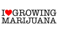 ILGM Coupons Codes