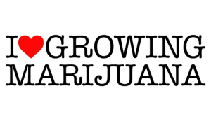 ILGM Coupons Codes